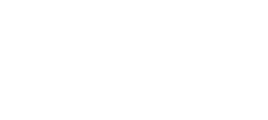 Logo-Norton-branca