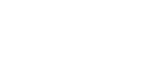 Logo Norton